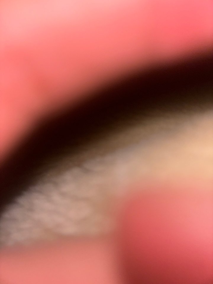 Abojggt