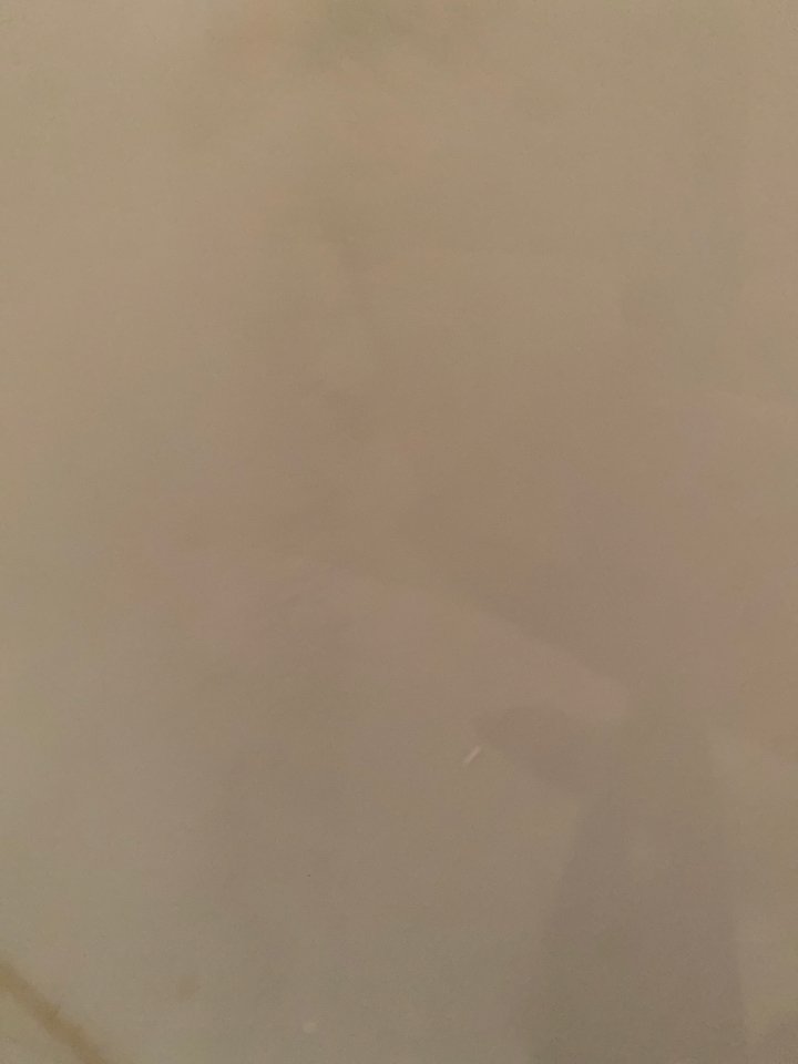 zizo