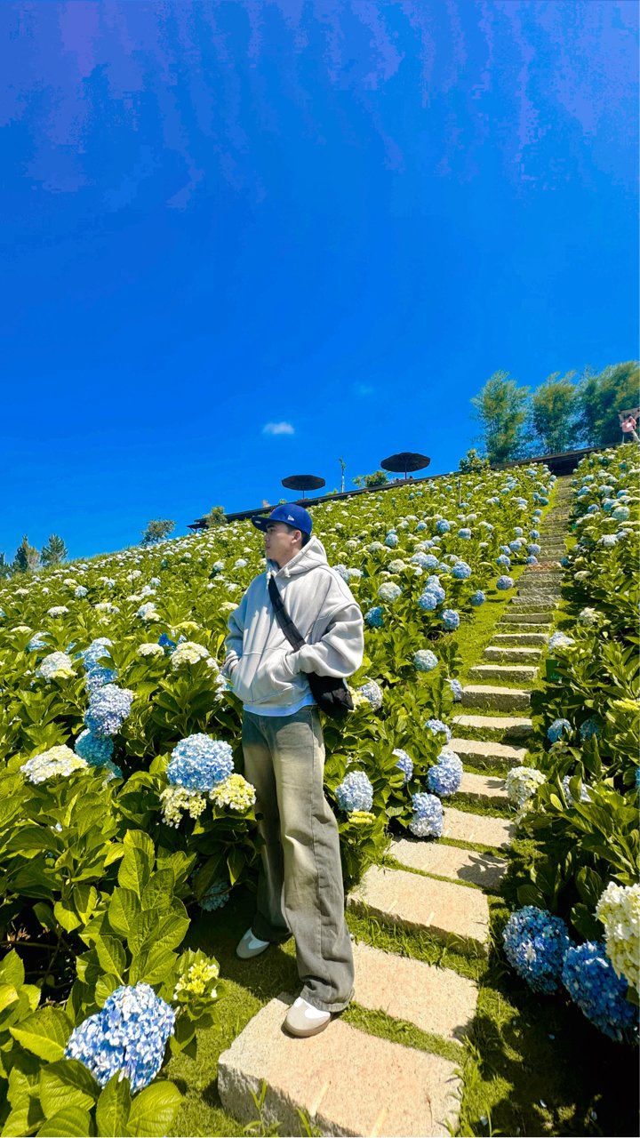 Dương