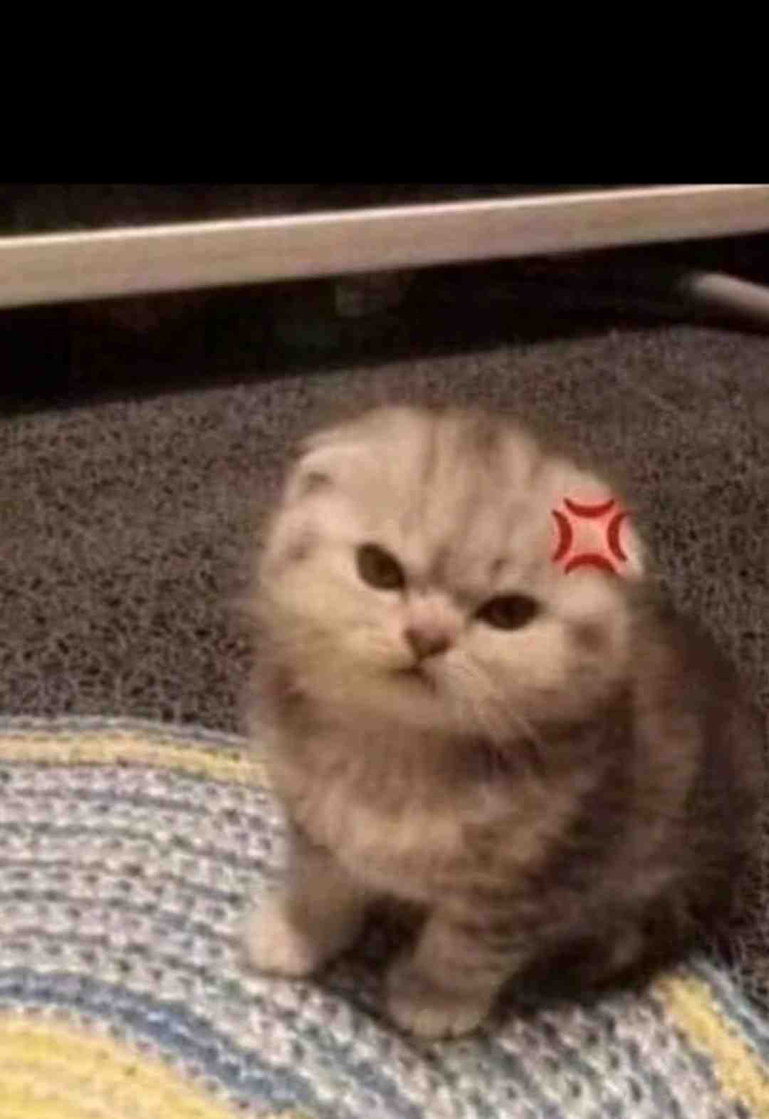 hân
