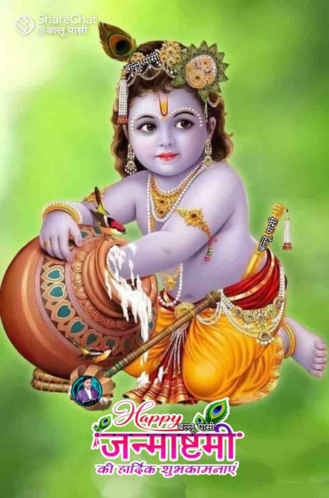 Vikram yadav Yadav
