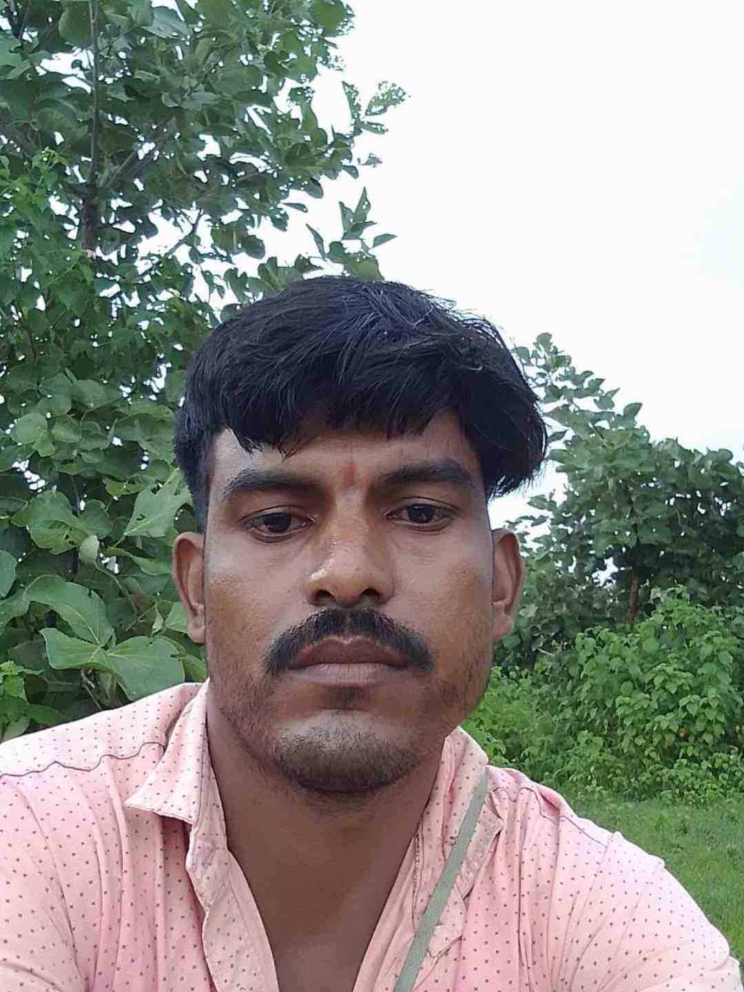 Divya Lodhi