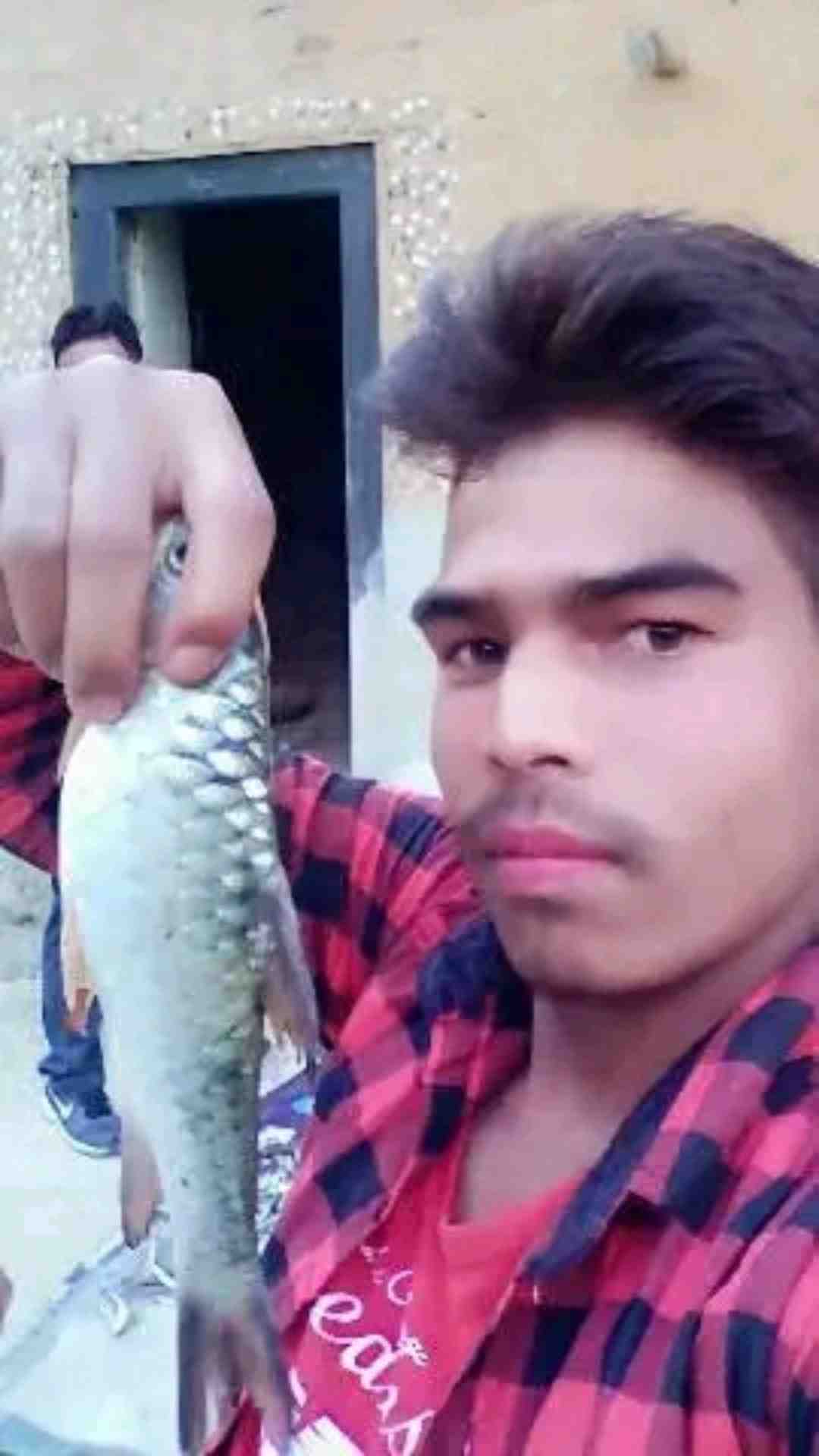 harksaud