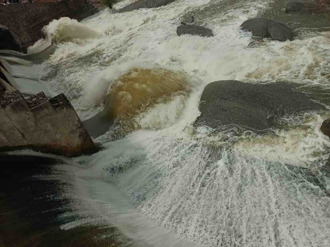 Rohit jat