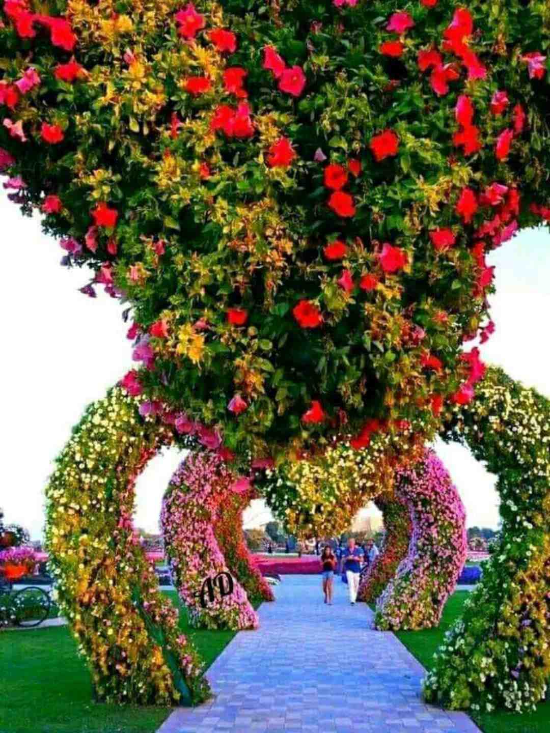 oityewnbte