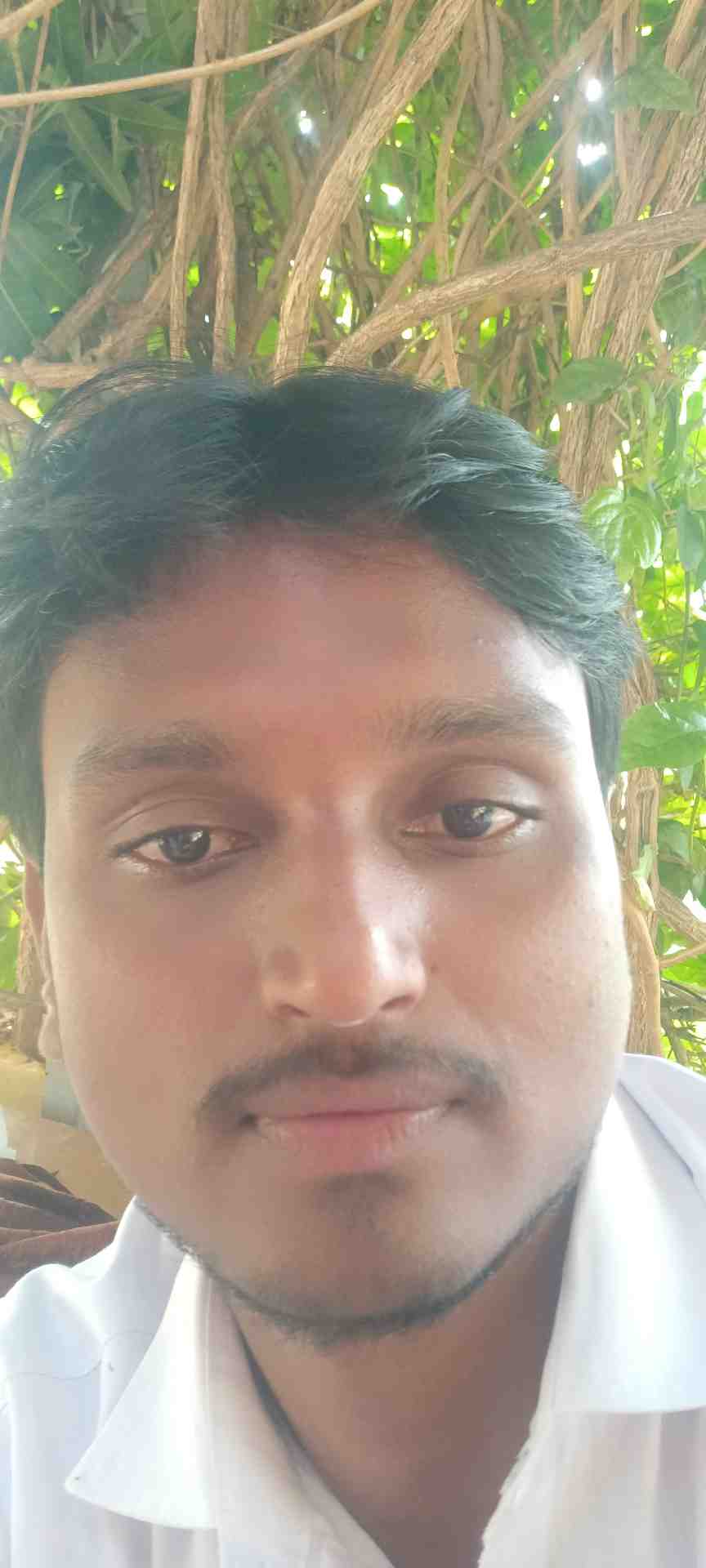 Sharif
