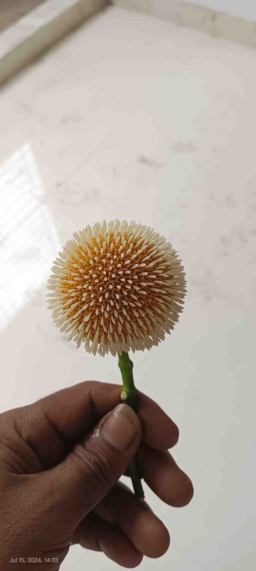 Raju sk