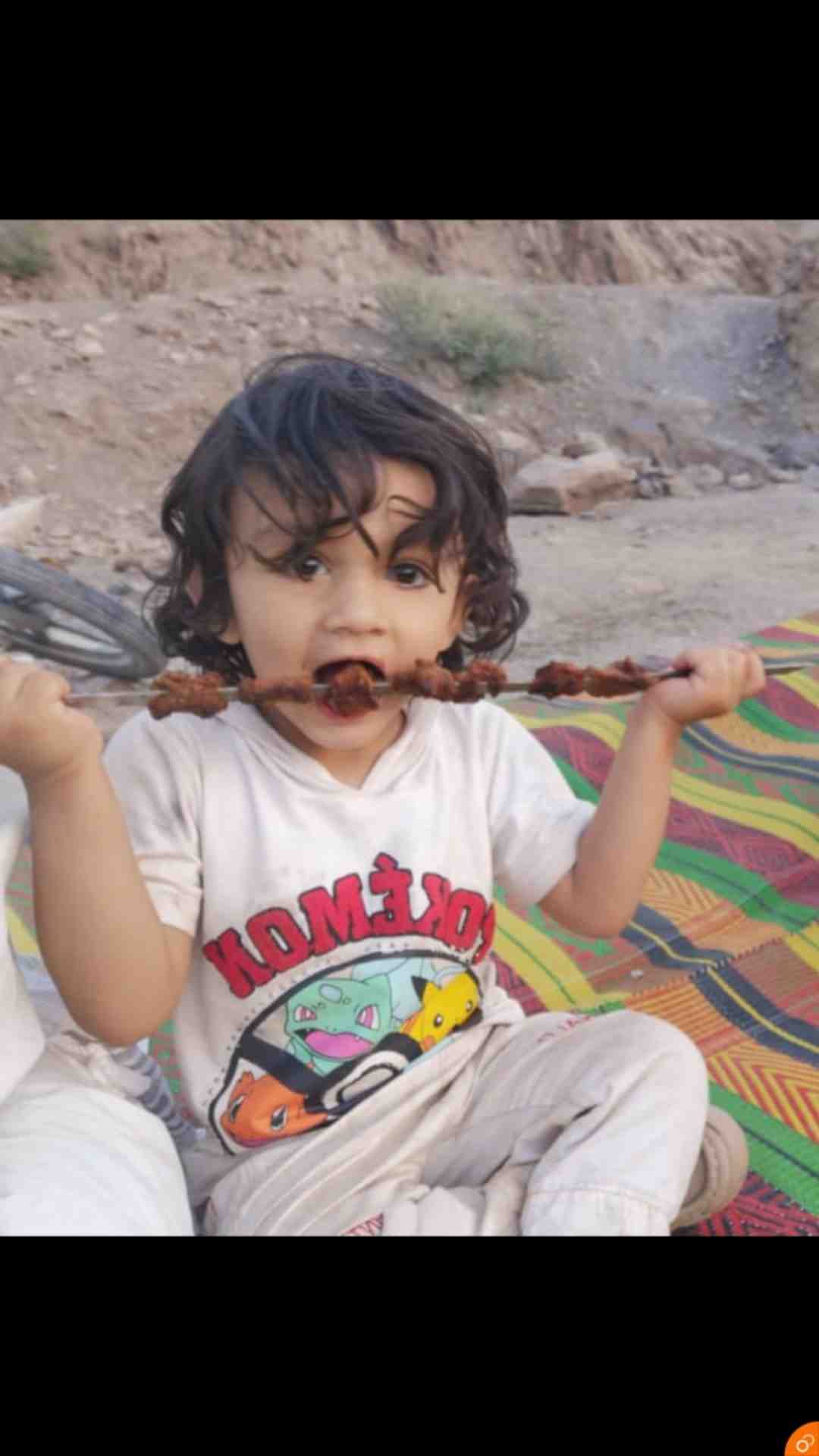 Anas
