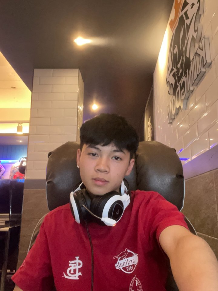 Việt Anh