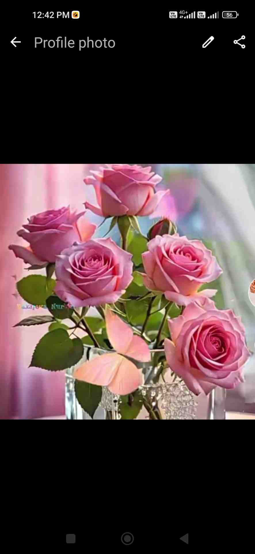 abbu