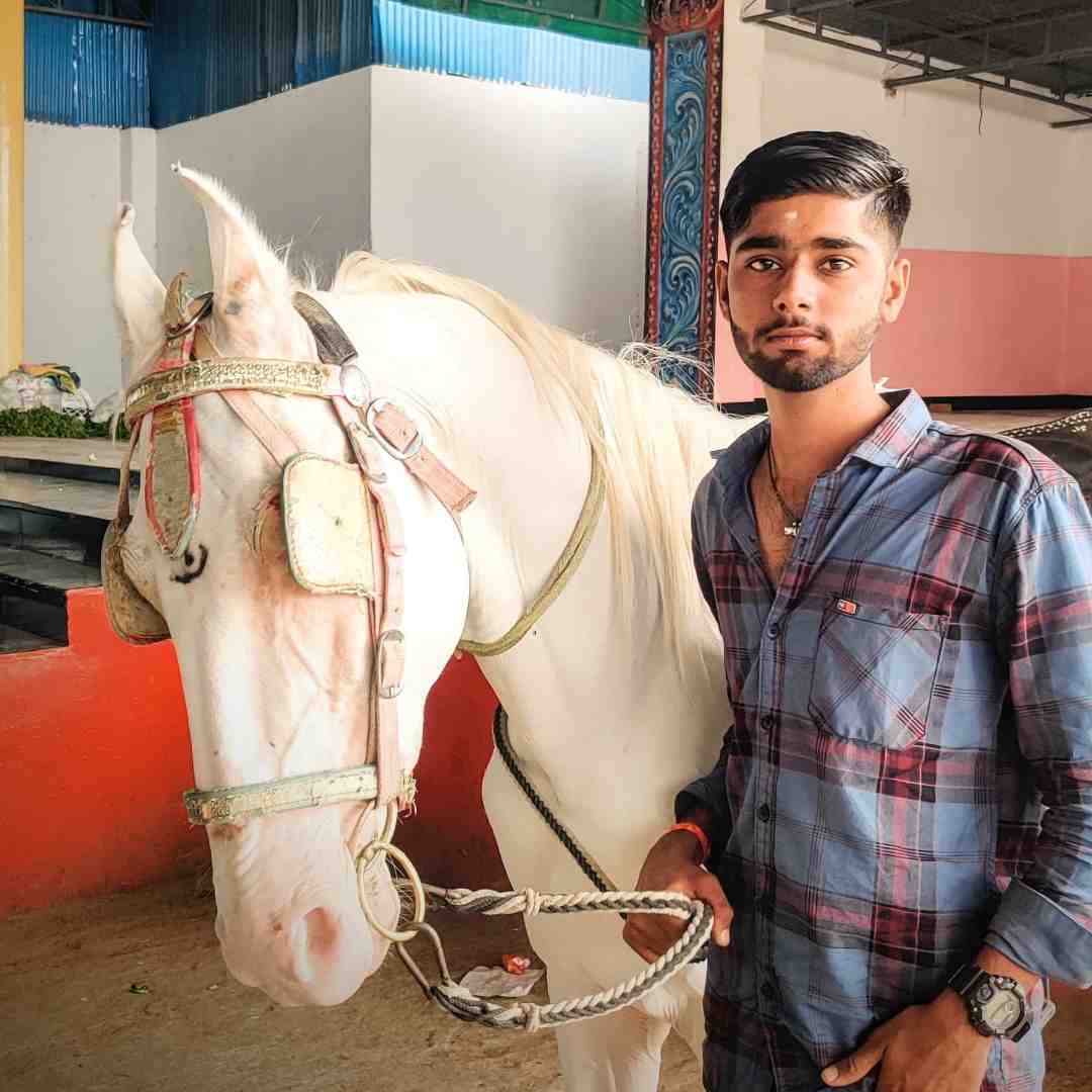 Jitu Dewasi