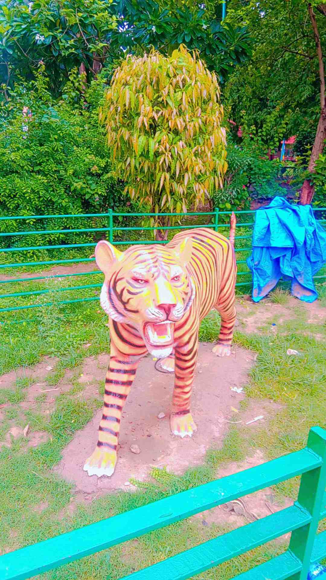 Manoj Baria