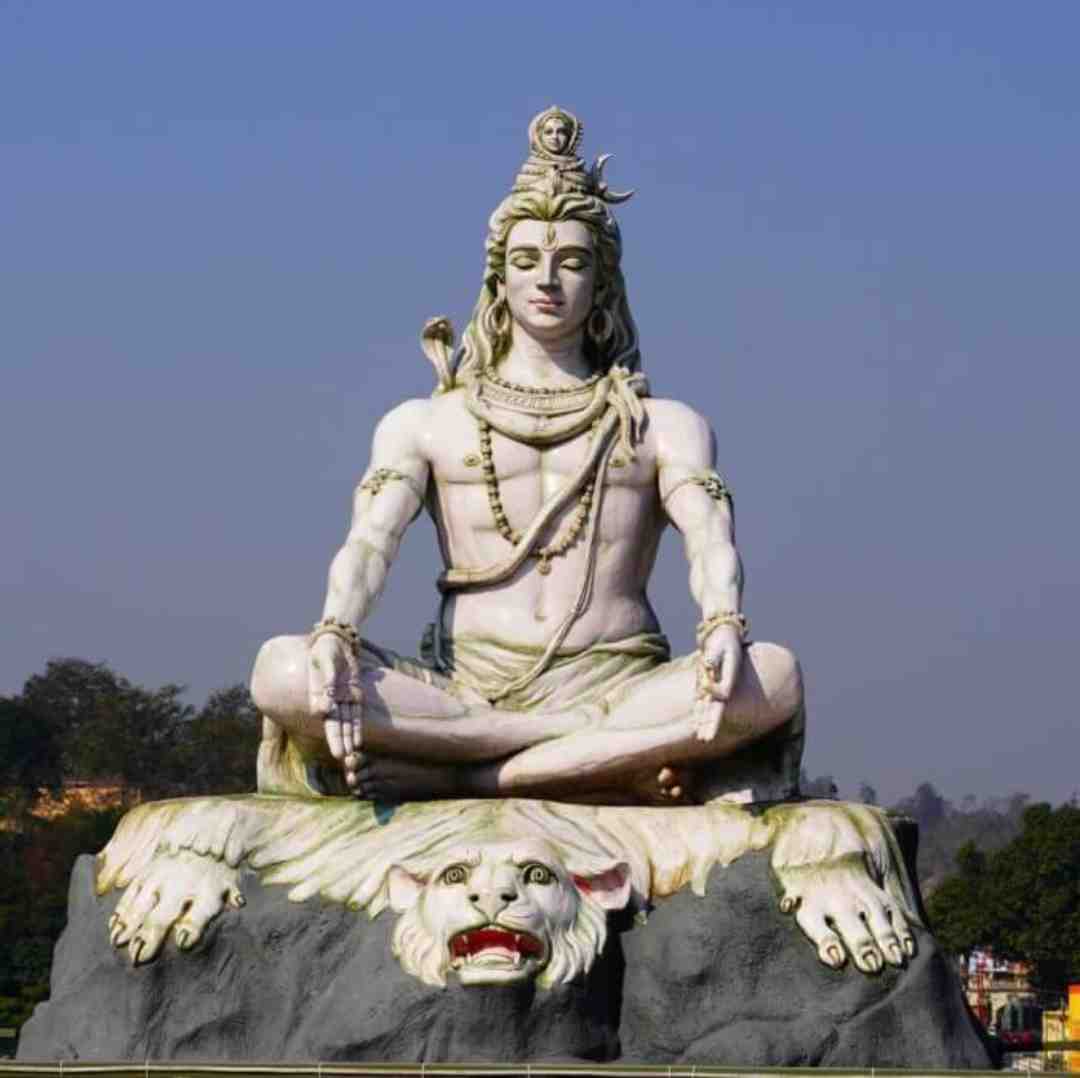 mayur