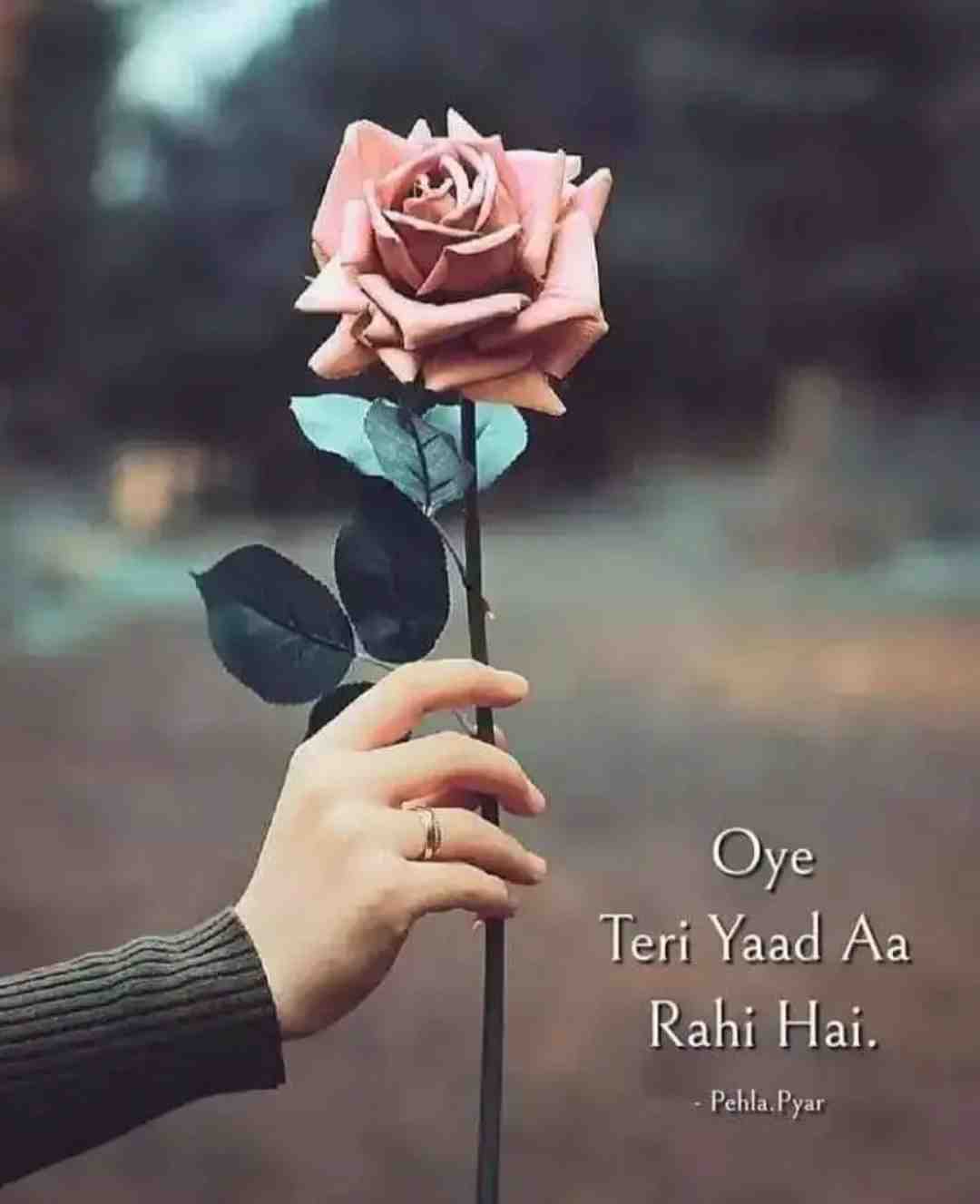 Amit