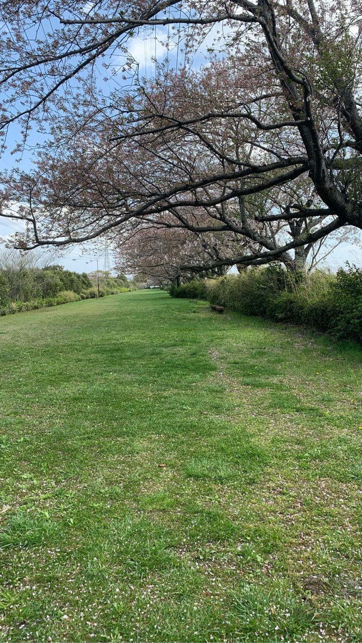 コン