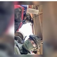 מאור לוי