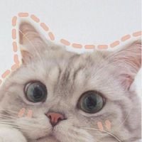 Bảoo Thyy