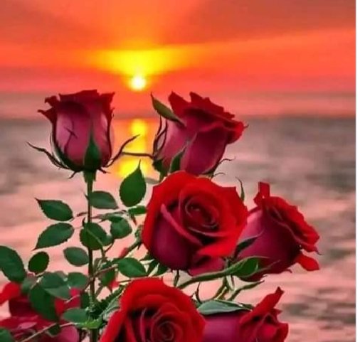 Md Raju