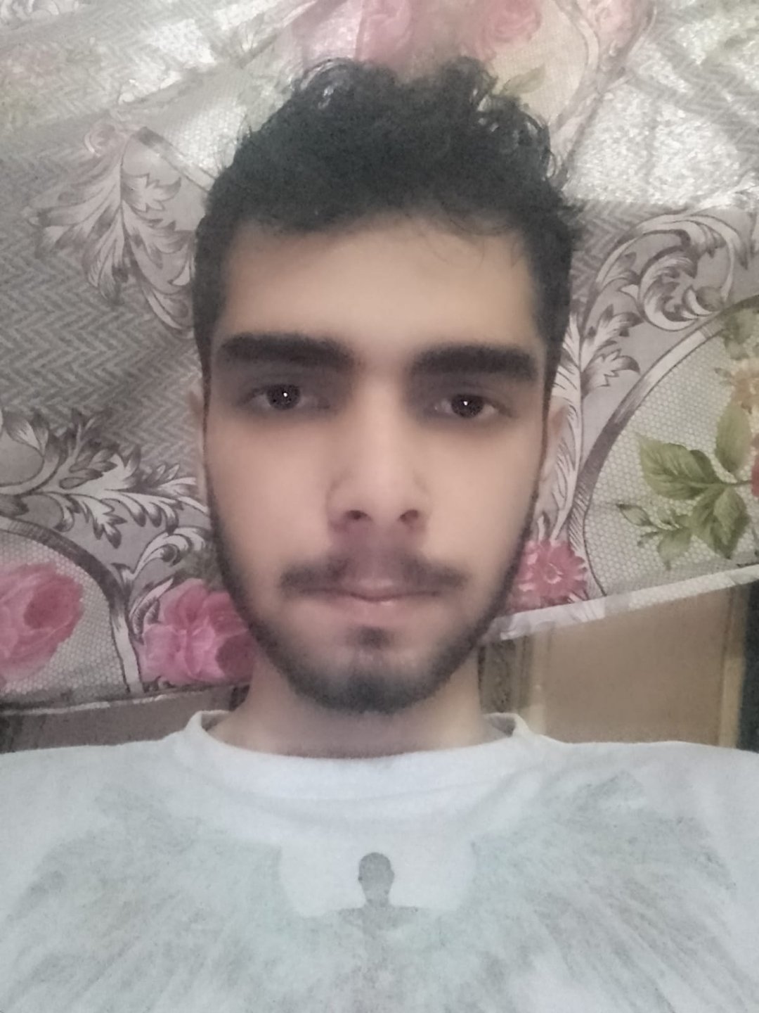Shahzi