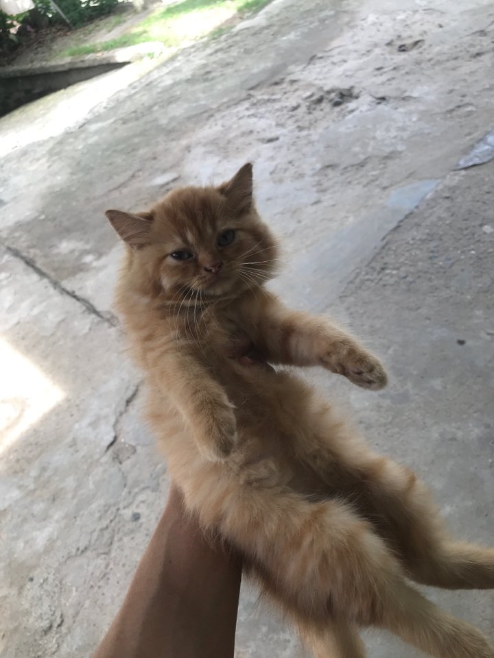 yyyyyy