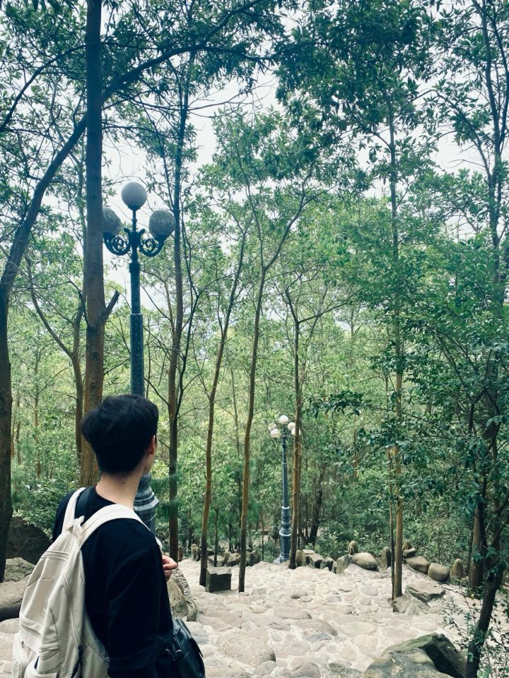 Hiếu
