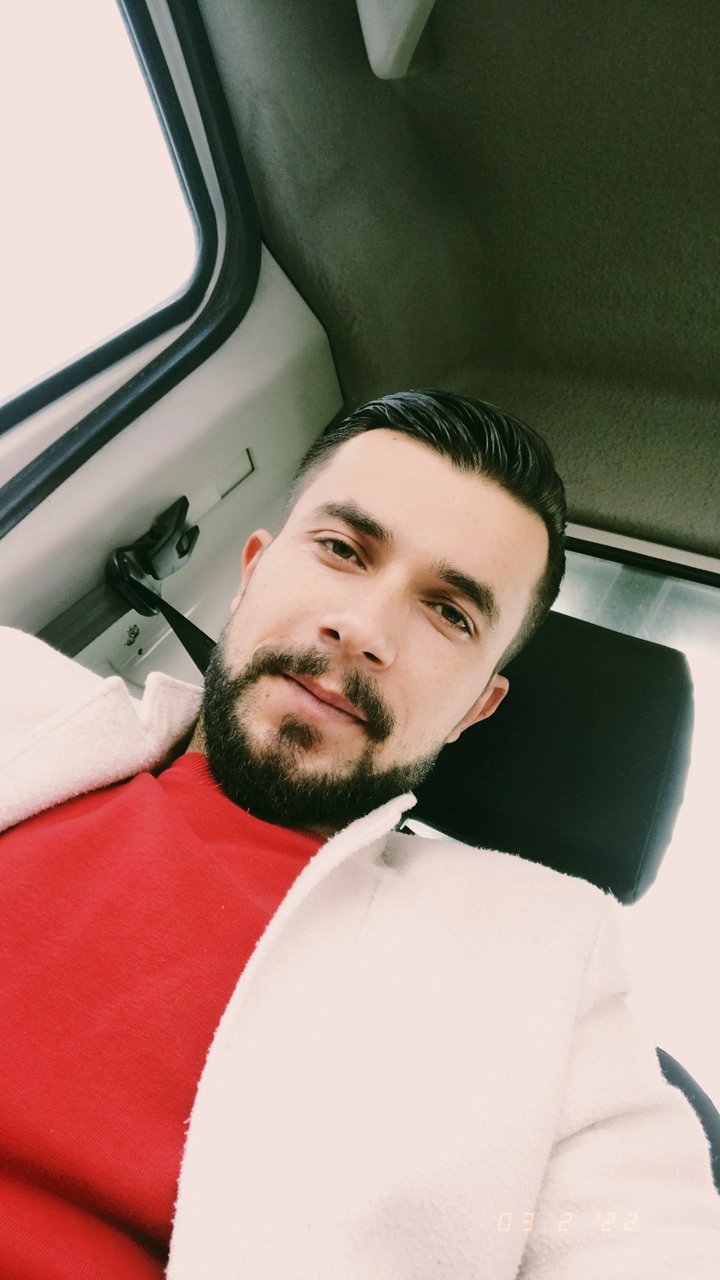 Tolga evci