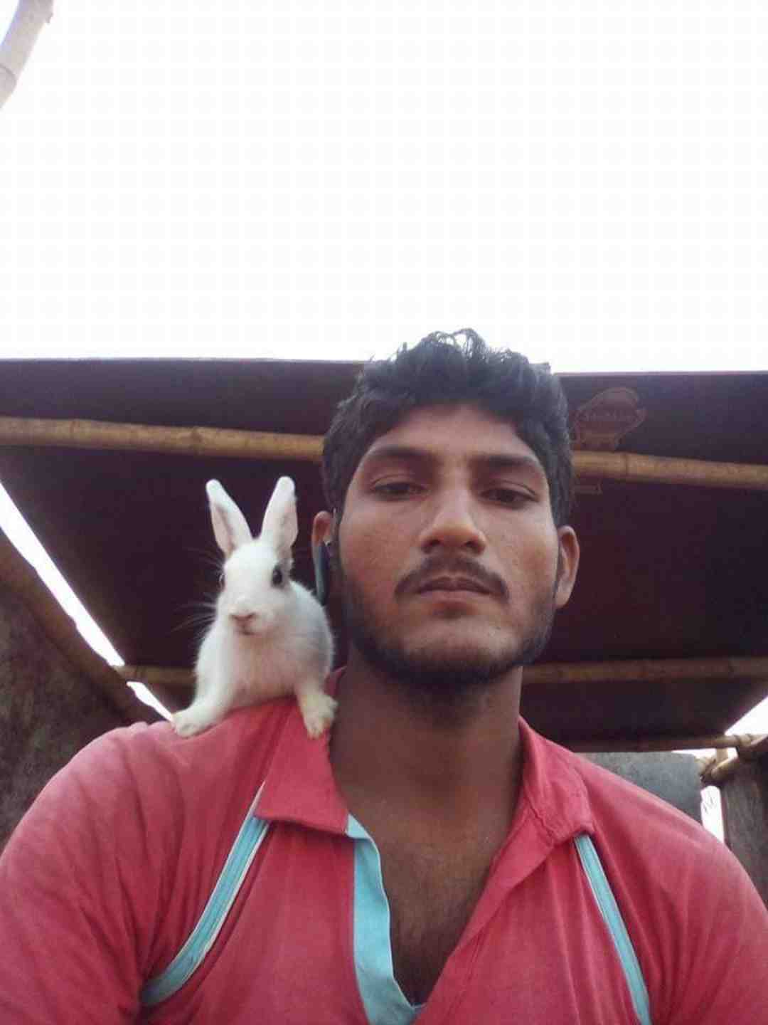 arif