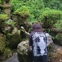 まっしゅ うるふ
