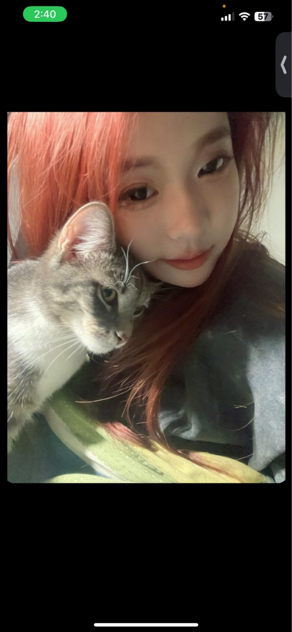 Mi