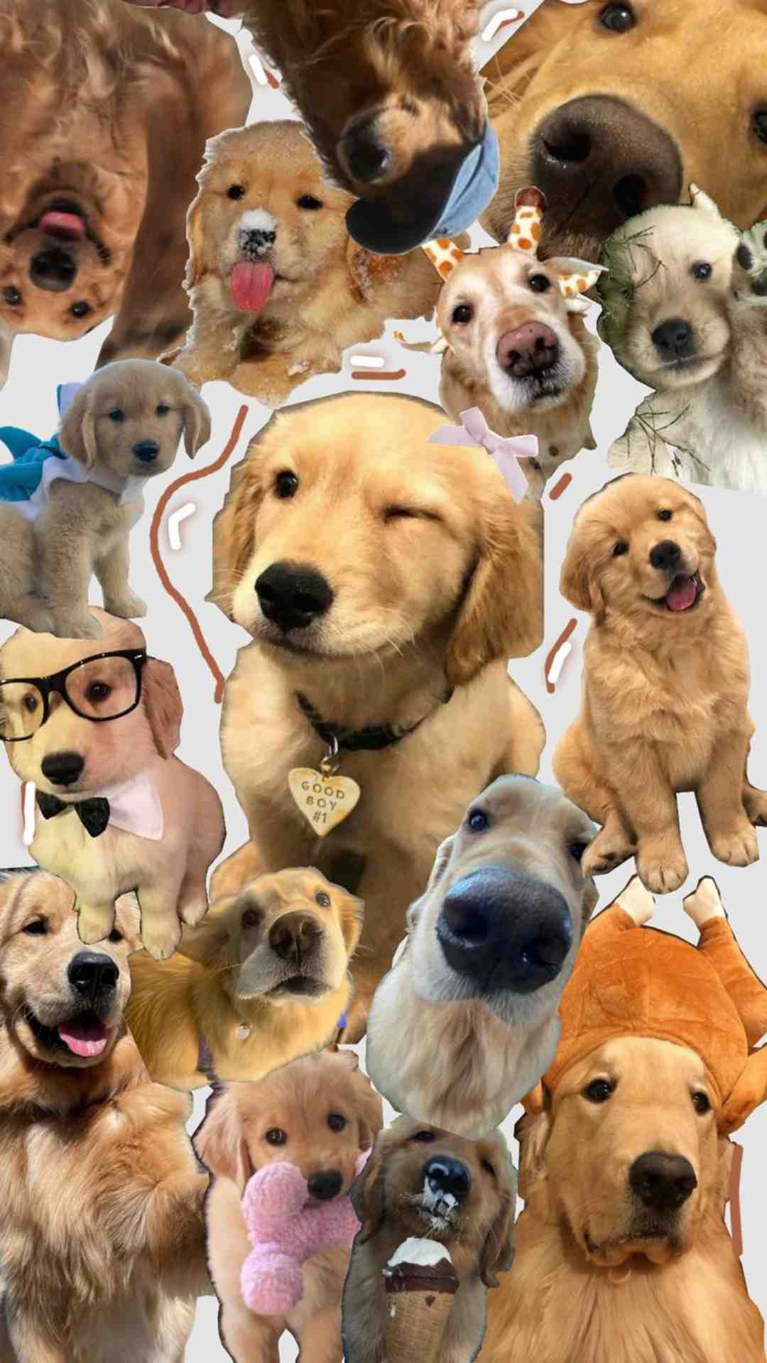 cute