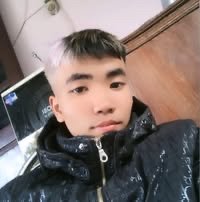 Ha zuy tan