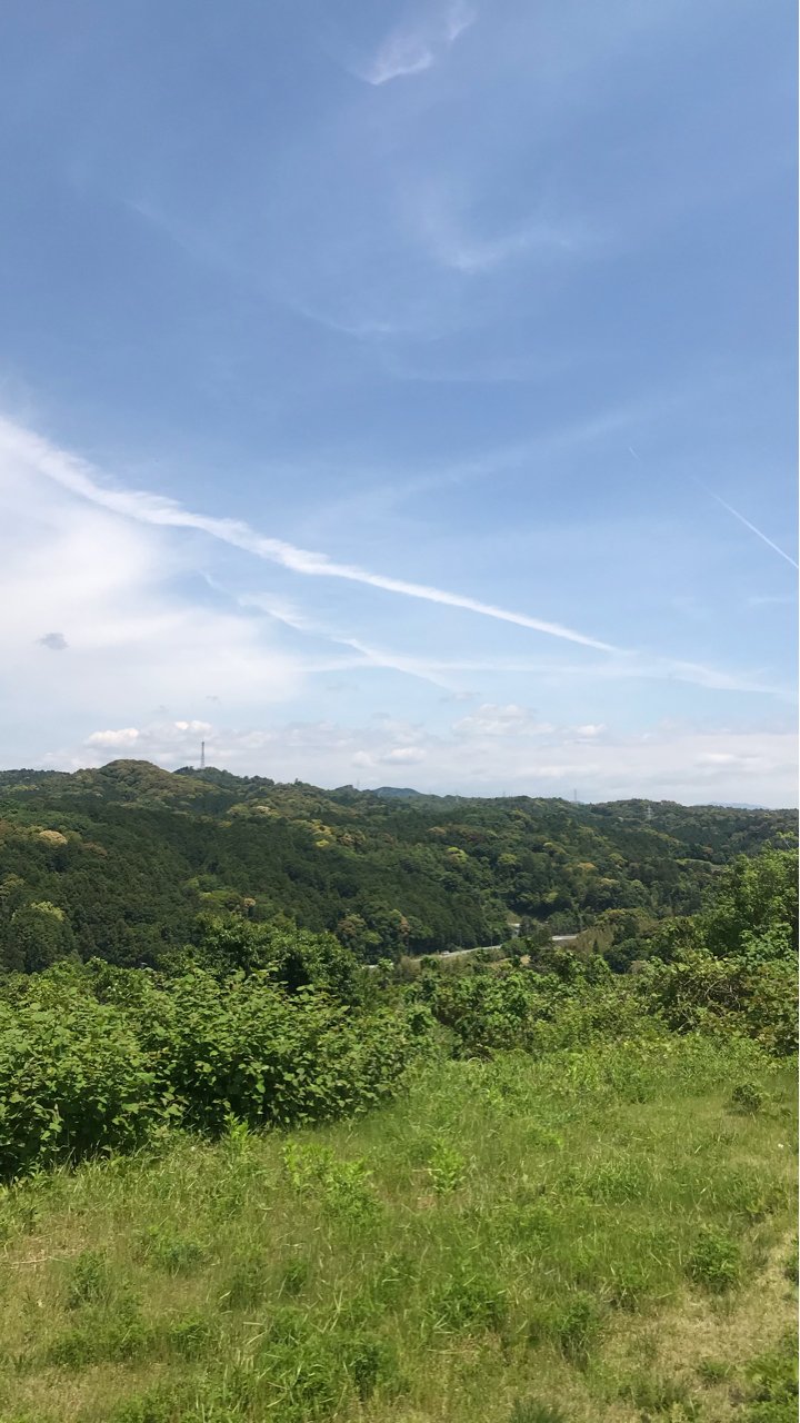 Gu