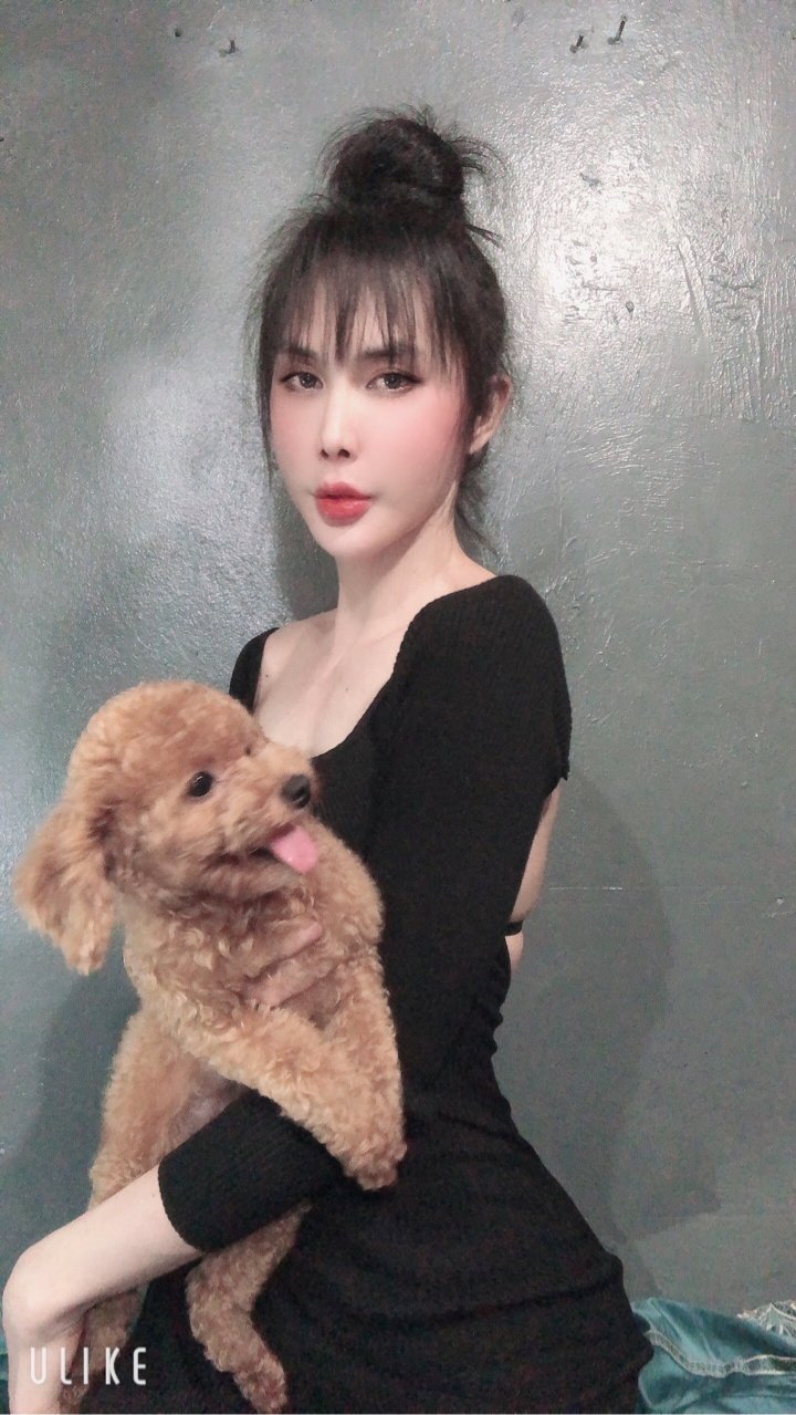 BoBo