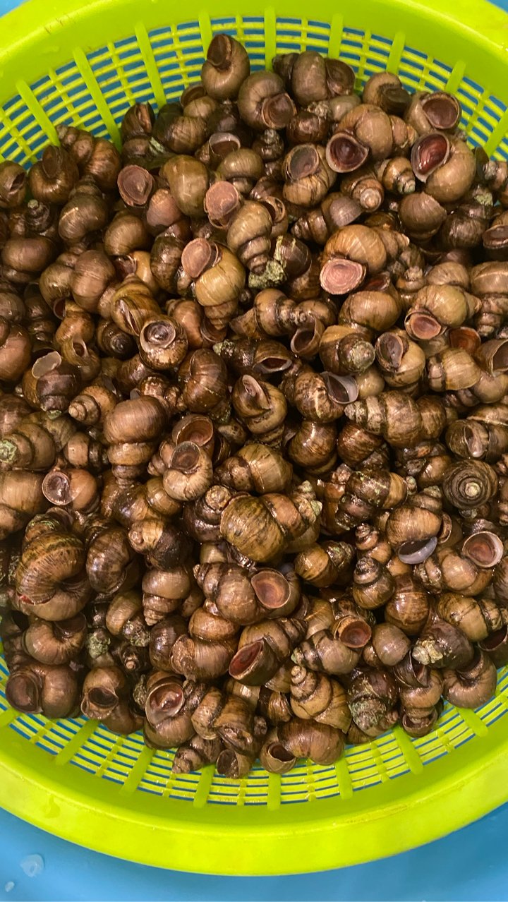 Phương