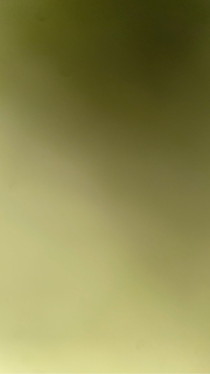 نيفو