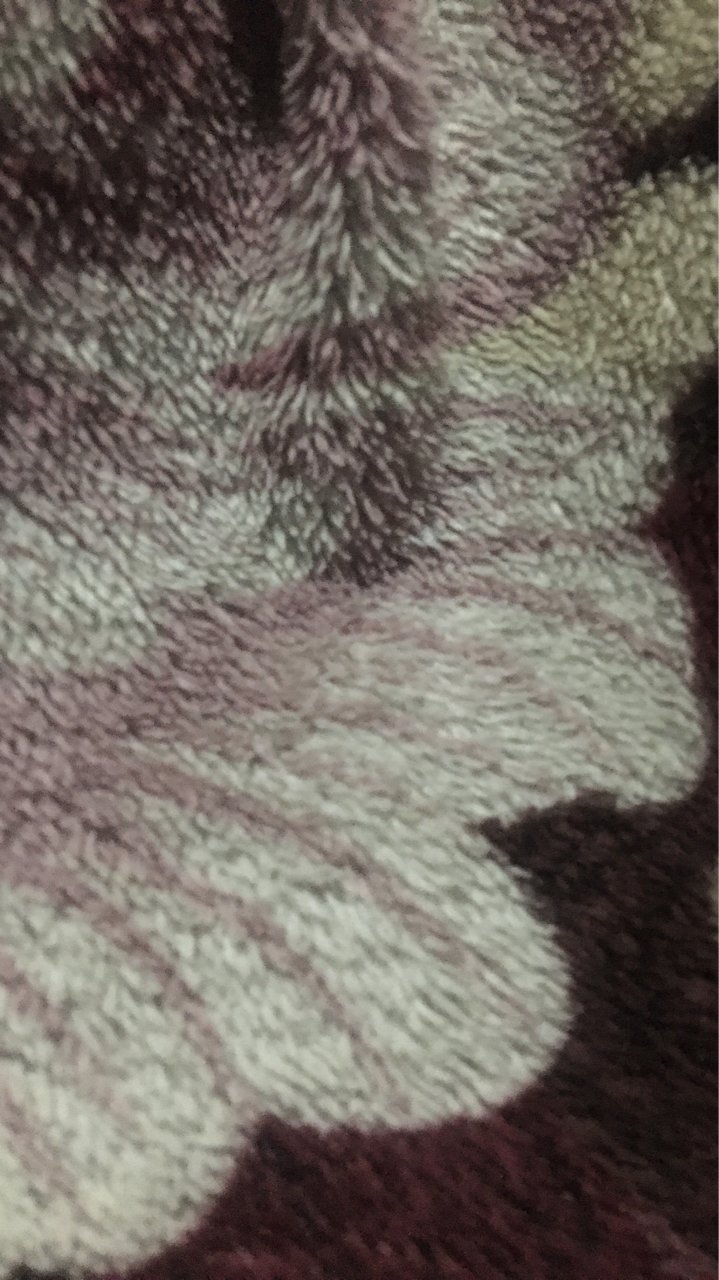 Léo