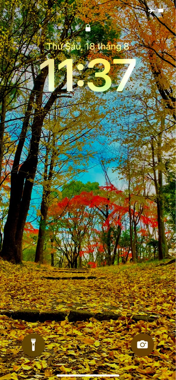Tieu phu