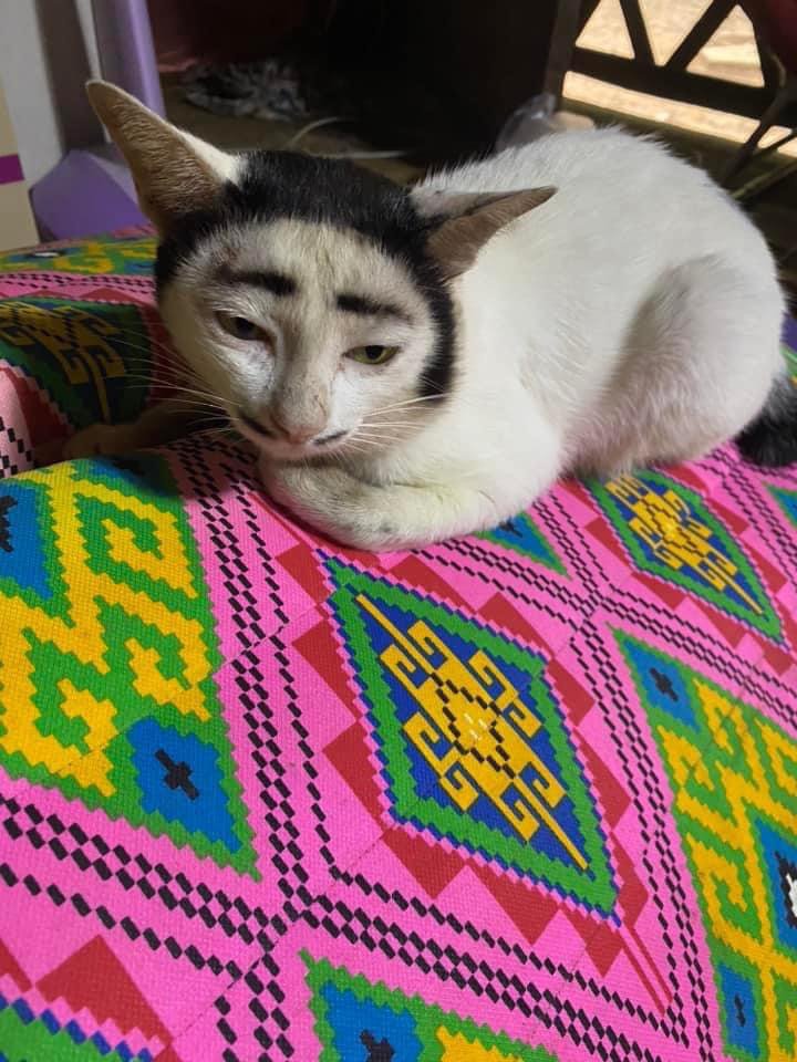 nam