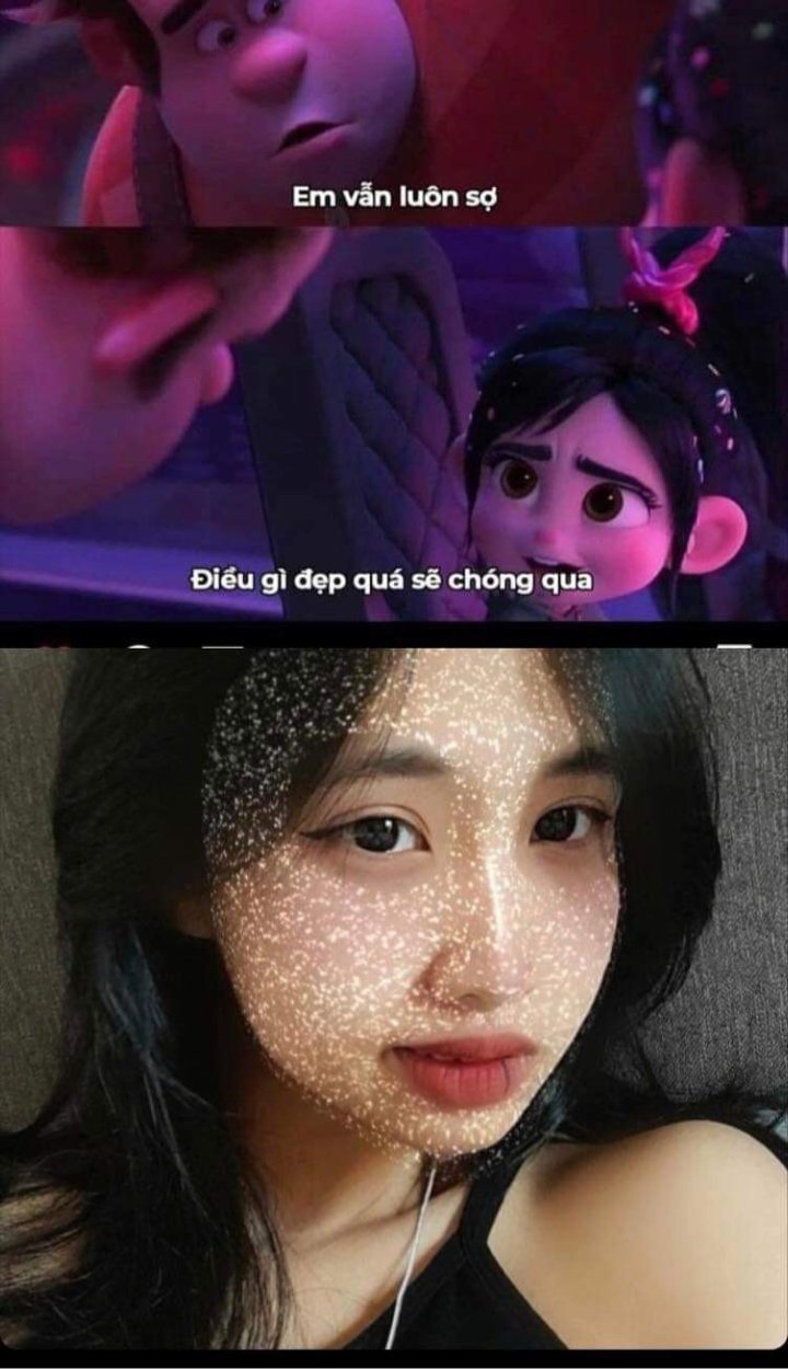 tớ là nhím 🦔