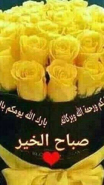 Alshubil Zaid