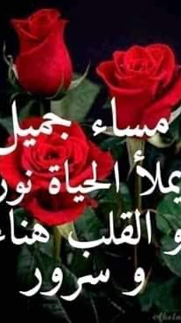 Sabal Mahmoud