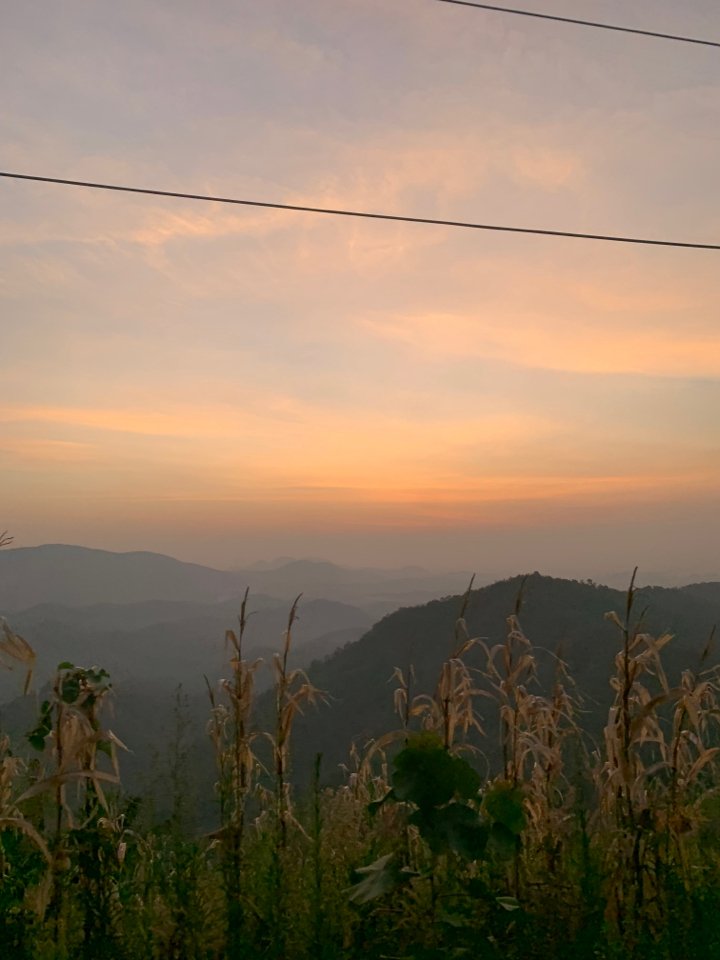 Ty Nguyễn