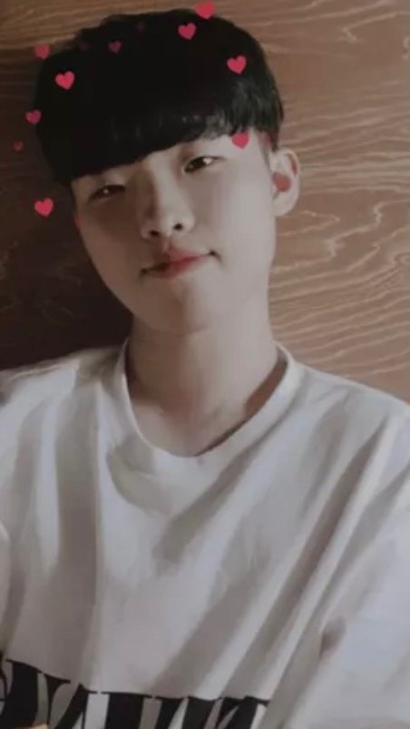 댕댕