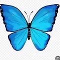 mazen77