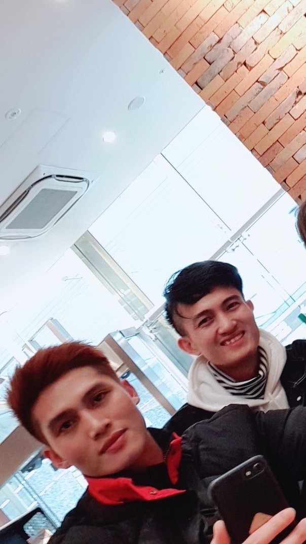 Cào Cào Lá Tre