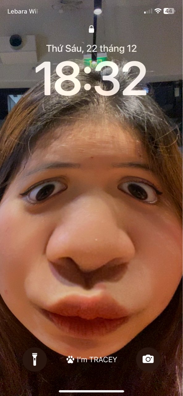 tracey